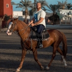 Saad lamjarred sur yala.fm